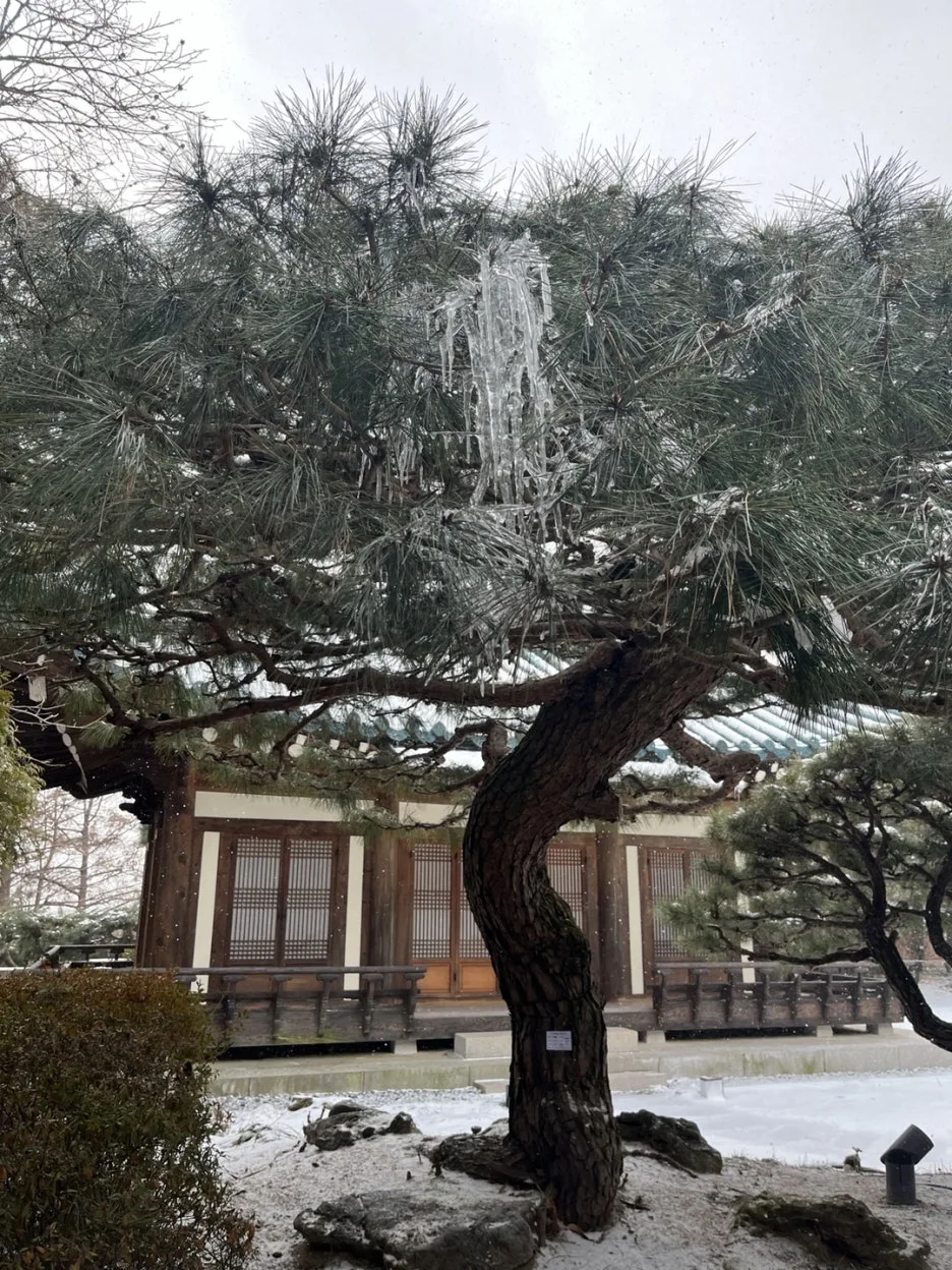 KakaoTalk_20250204_155329778_10.jpg?type=w1