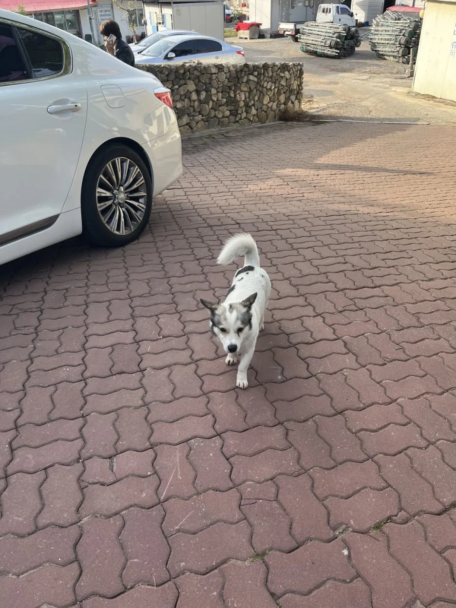 KakaoTalk_20250507_201512867_26.jpg?type=w1