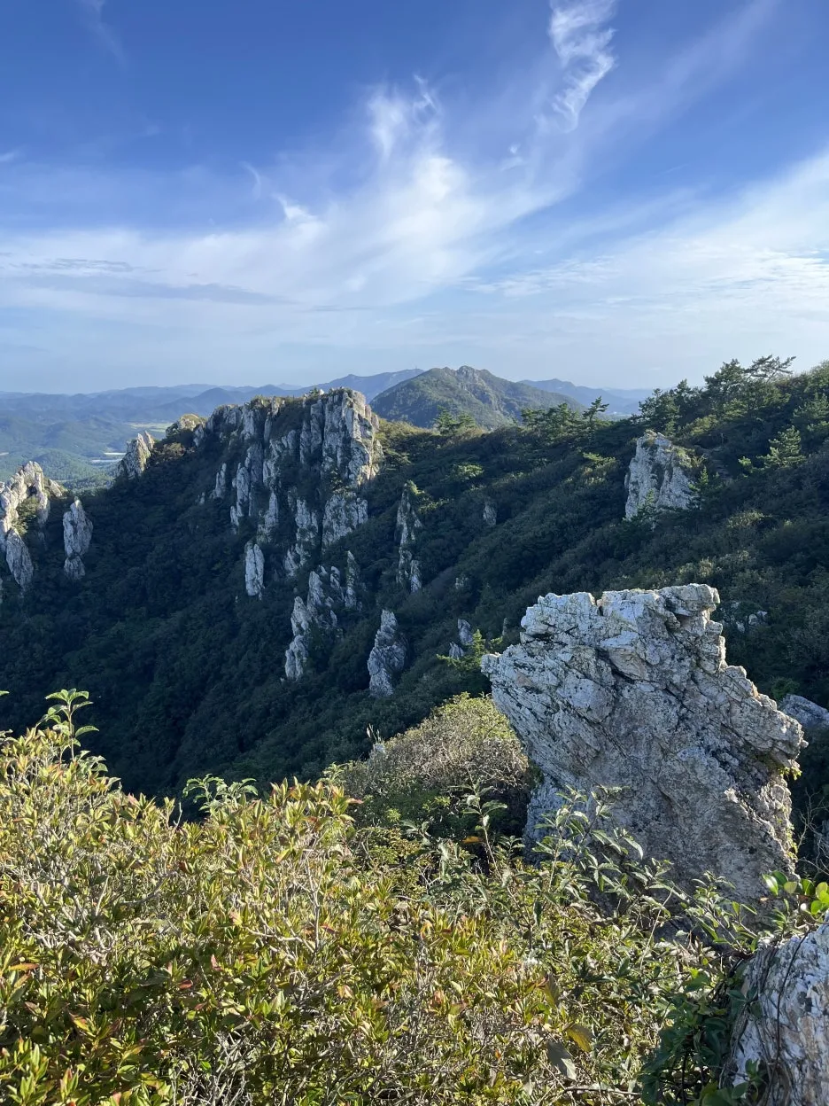 KakaoTalk_20250922_231843954_10.jpg?type=w1