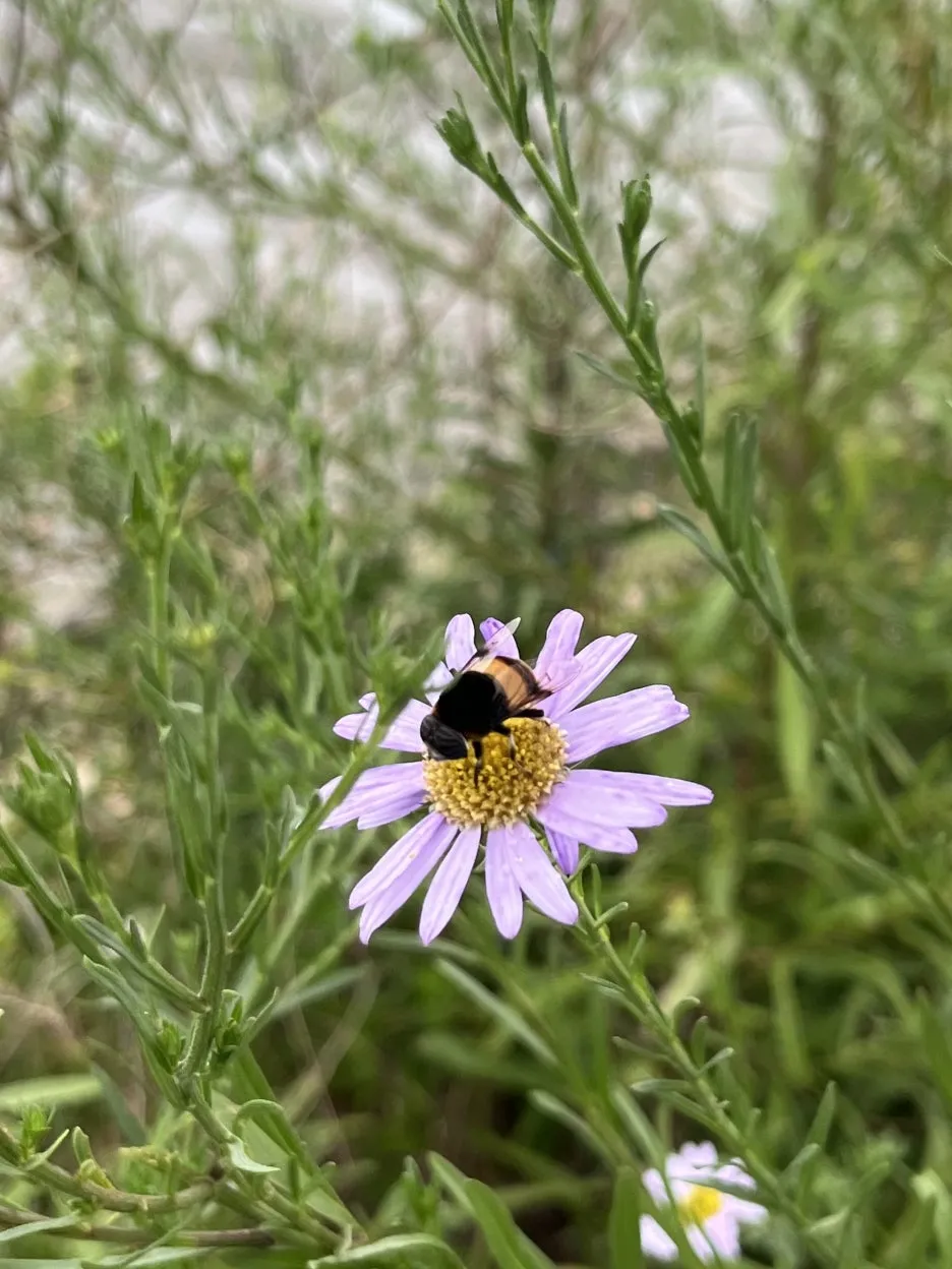 KakaoTalk_20251002_201145776_13.jpg?type=w1