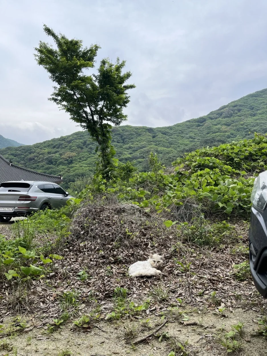 KakaoTalk_20250524_205626134_10.jpg?type=w1