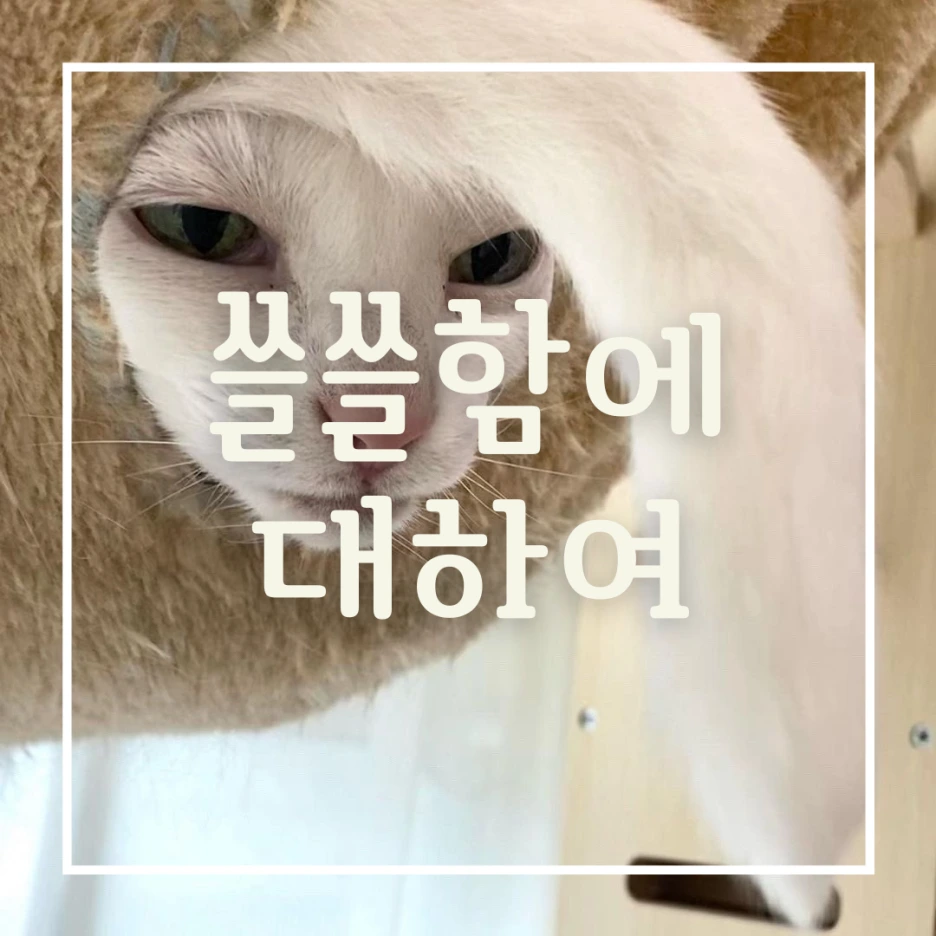 %EC%93%B8%EC%93%B8%ED%95%A8%EC%97%90_%EB%8C%80%ED%95%98%EC%97%AC.png?type=w1