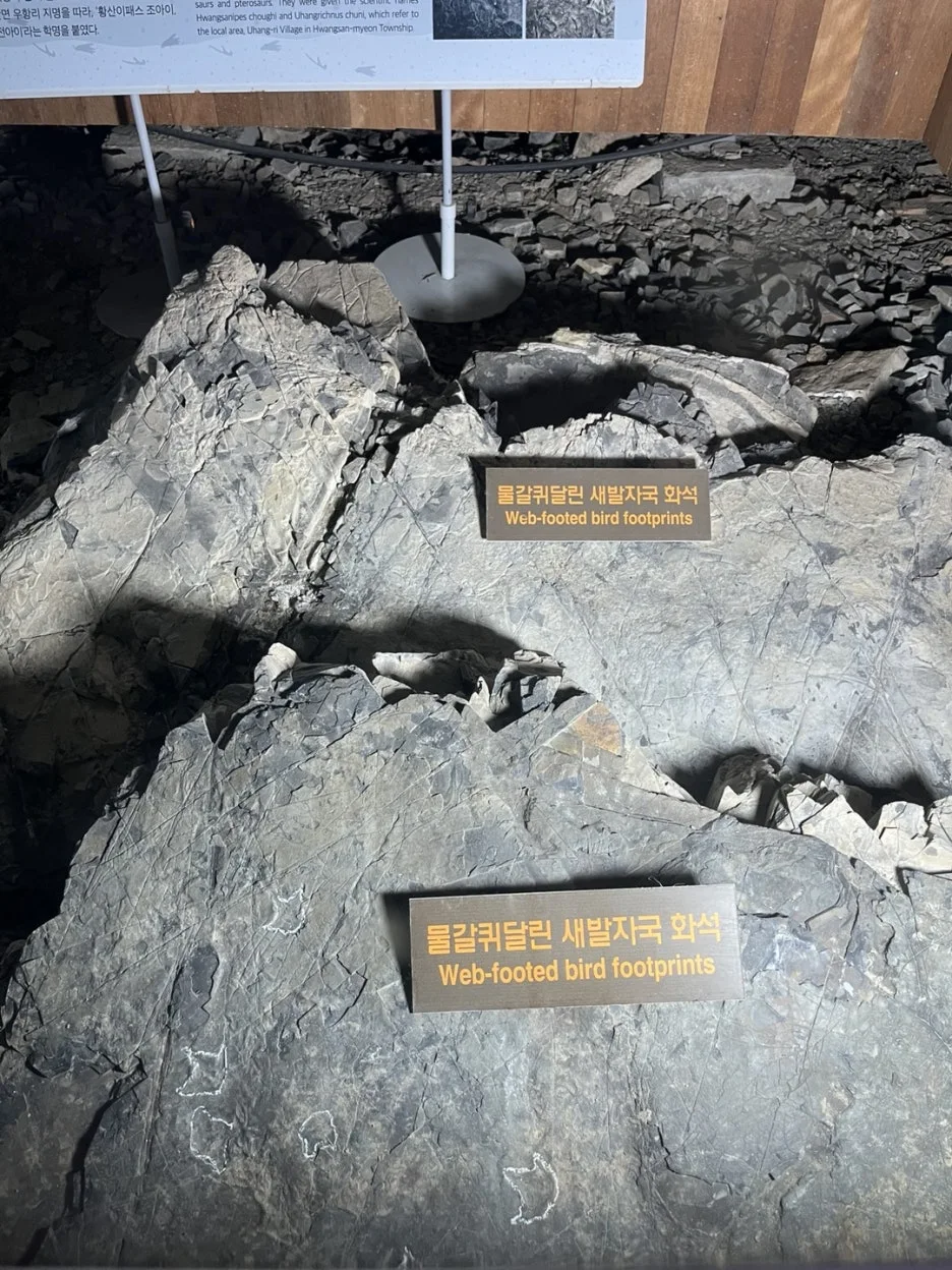 KakaoTalk_20250528_213316058_18.jpg?type=w1