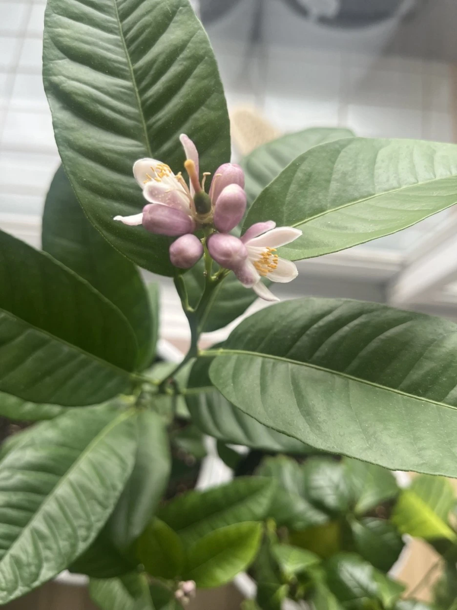 KakaoTalk_20221216_174211125.jpg?type=w1