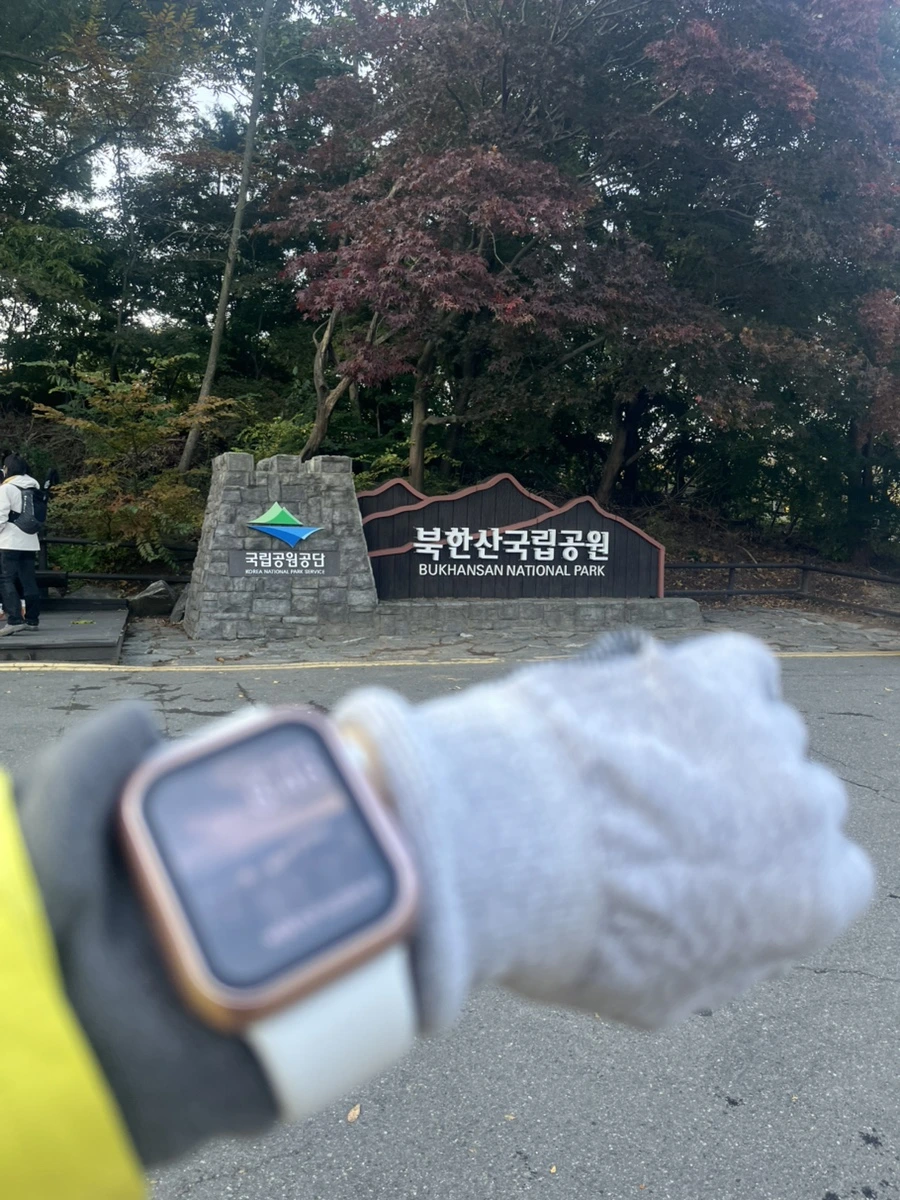 IMG%EF%BC%BF3319.jpg?type=w1