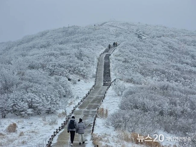 art_16402322693013_1f57f1.jpg?type=w1