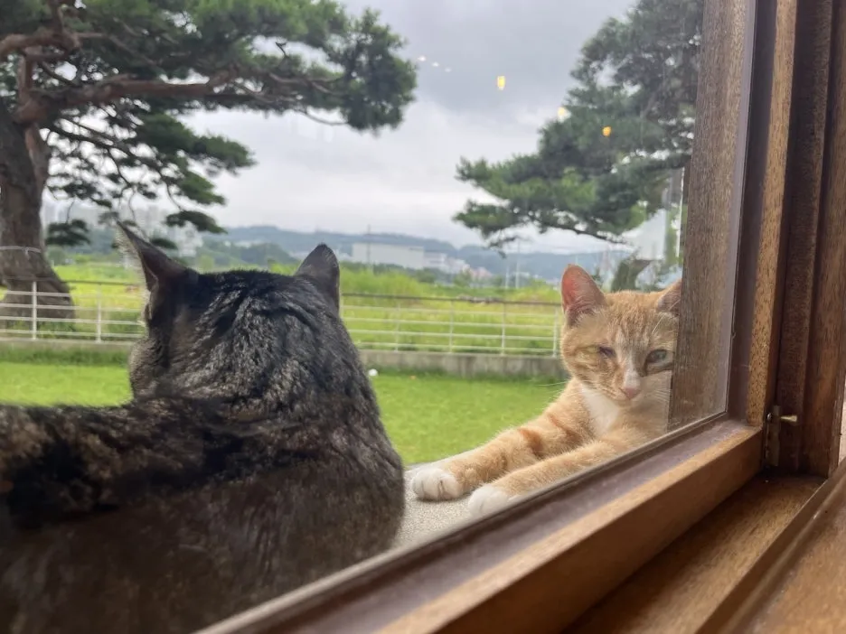 KakaoTalk_20240802_093519909_13.jpg?type=w1