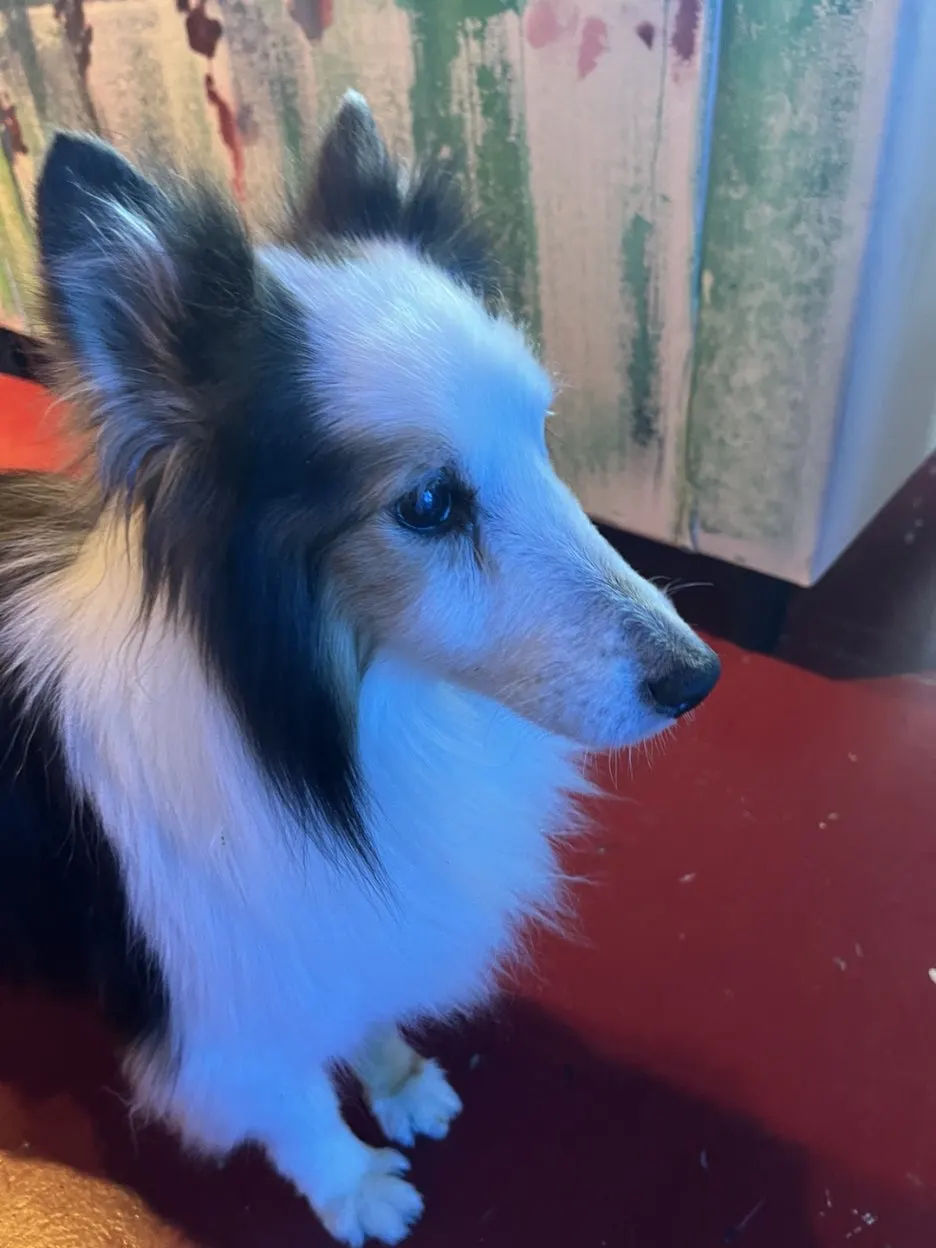 KakaoTalk_20240802_093519909_24.jpg?type=w1