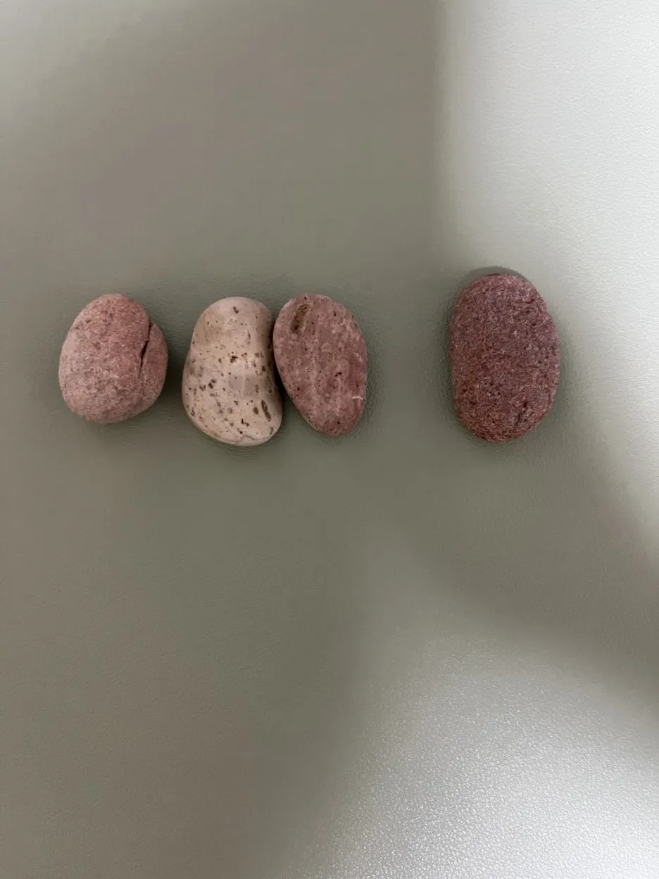 KakaoTalk_20250515_211804850_12.jpg?type=w1