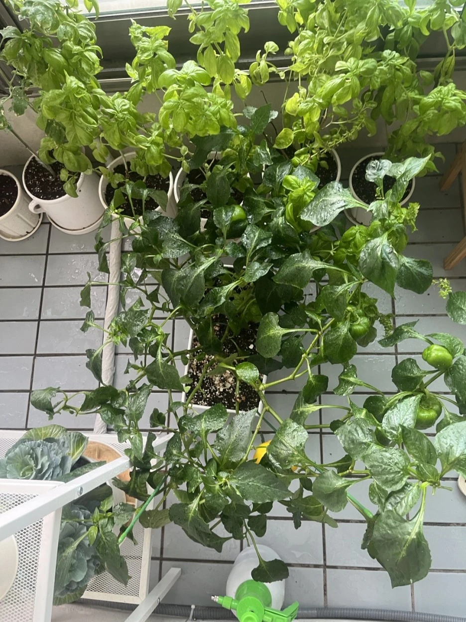 KakaoTalk_20230805_122021264.jpg?type=w1