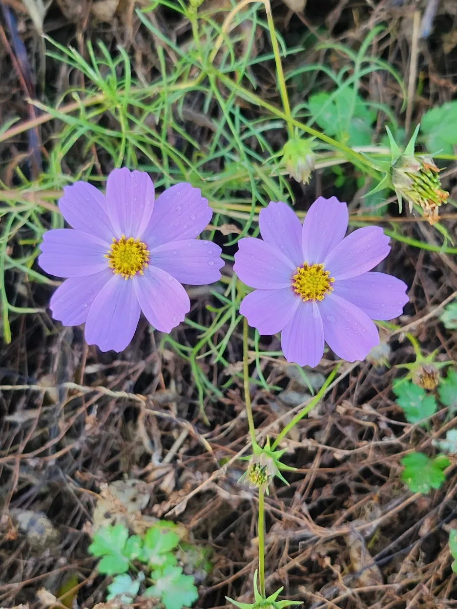 KakaoTalk_20251122_104513658.jpg?type=w1