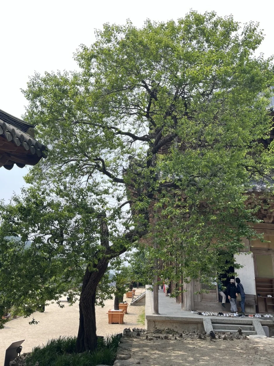 KakaoTalk_20250601_194244145_25.jpg?type=w1