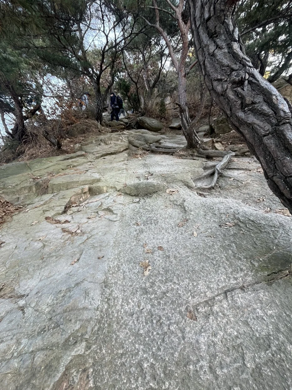 KakaoTalk_20251116_232435475_02.jpg?type=w1