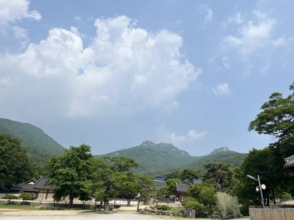 KakaoTalk_20250529_193557894_28.jpg?type=w1