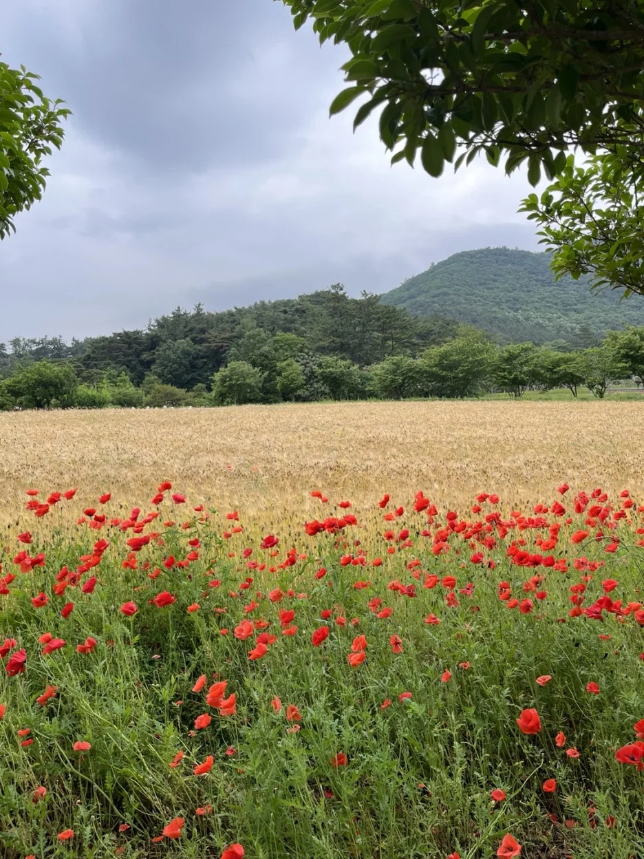 KakaoTalk_20250523_220402840_11.jpg?type=w1