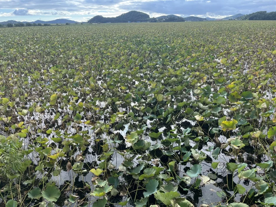 KakaoTalk_20251005_223843431_04.jpg?type=w1