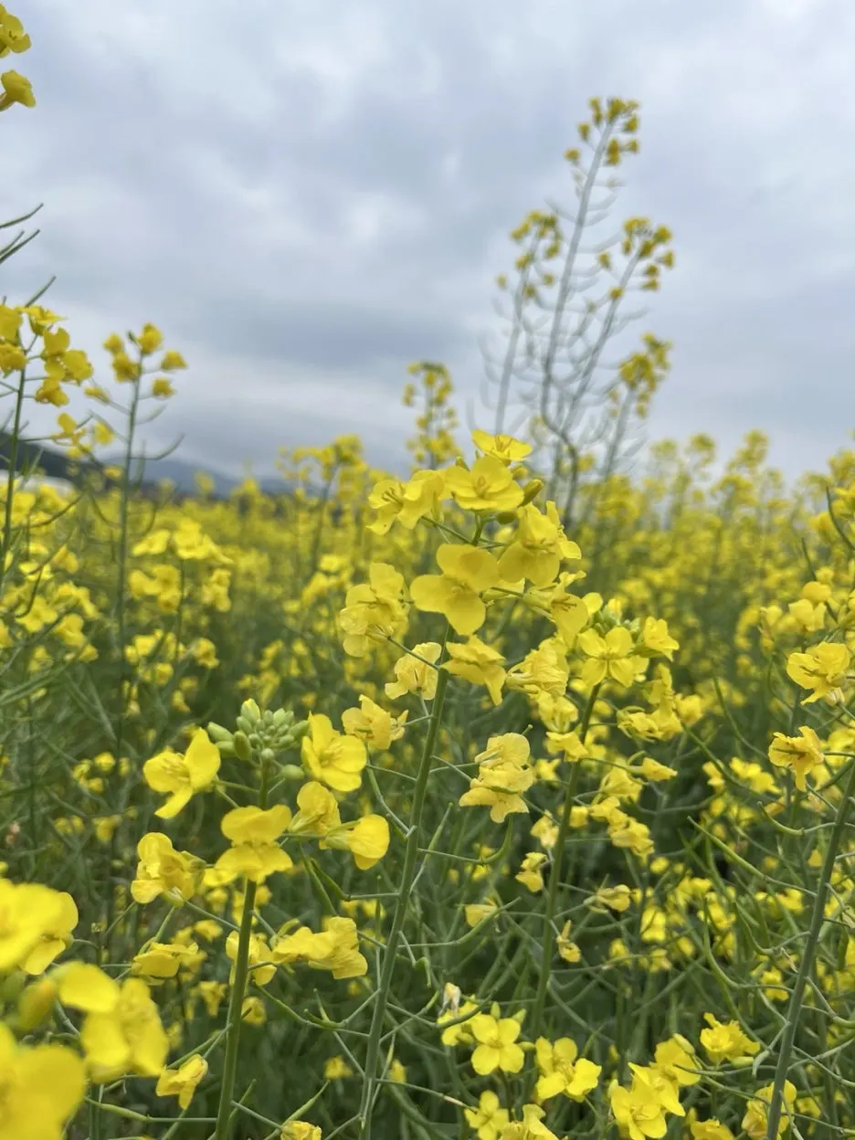 KakaoTalk_20250523_220402840_08.jpg?type=w1