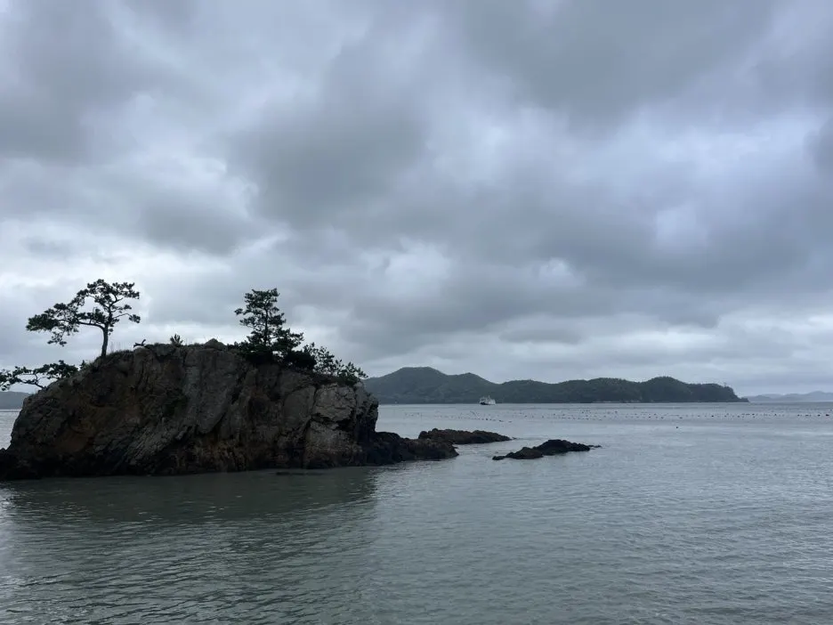 KakaoTalk_20250510_083125676_03.jpg?type=w1