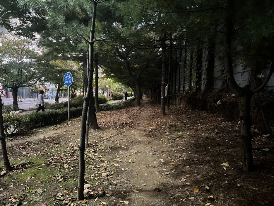 KakaoTalk_20251027_221820855_03.jpg?type=w1