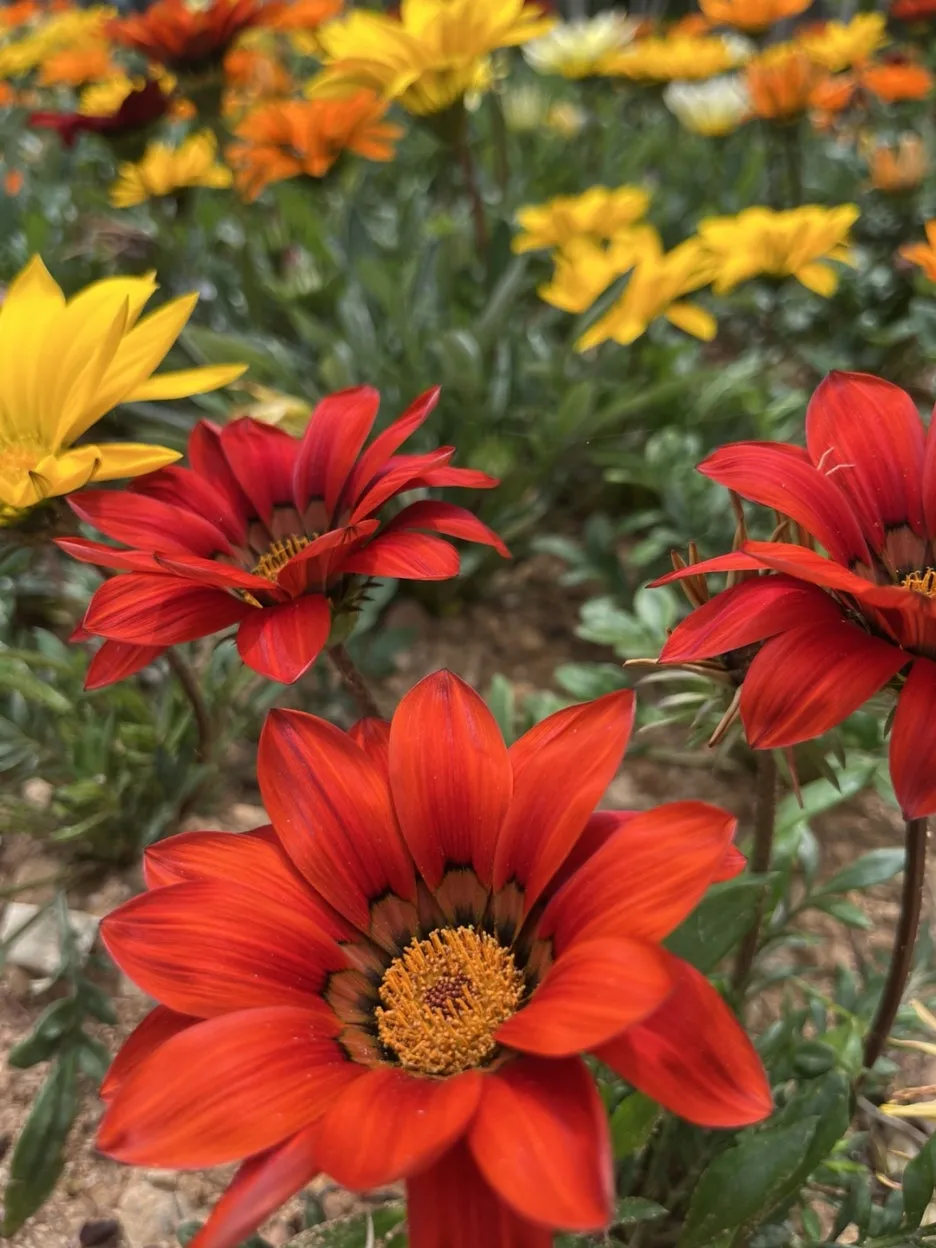 KakaoTalk_20250514_200733538_22.jpg?type=w1