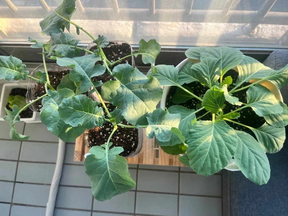 SE-74c60285-28a0-449d-8e24-3b3fa63c8cea.jpg?type=w1