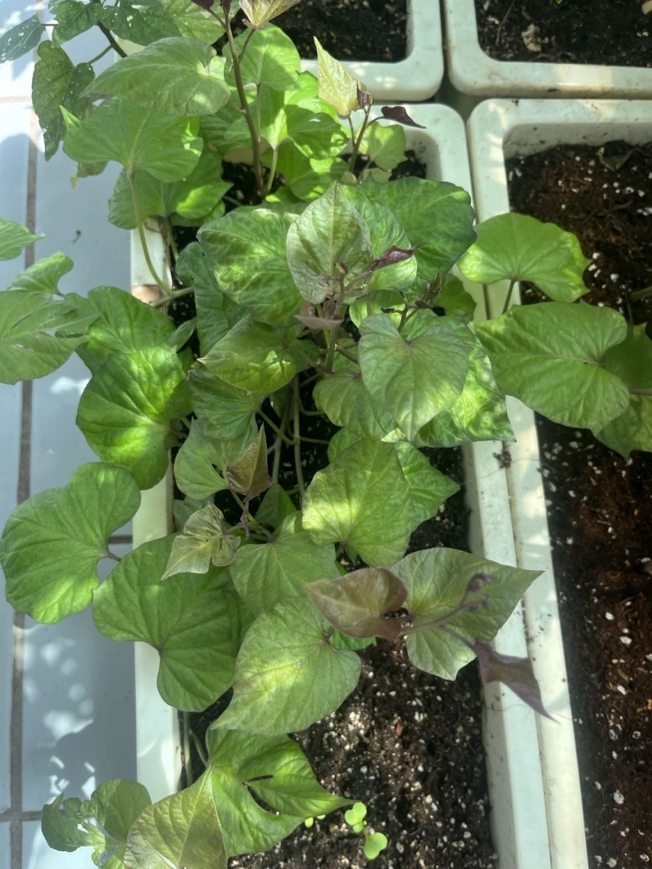 KakaoTalk_20230805_122025773.jpg?type=w1