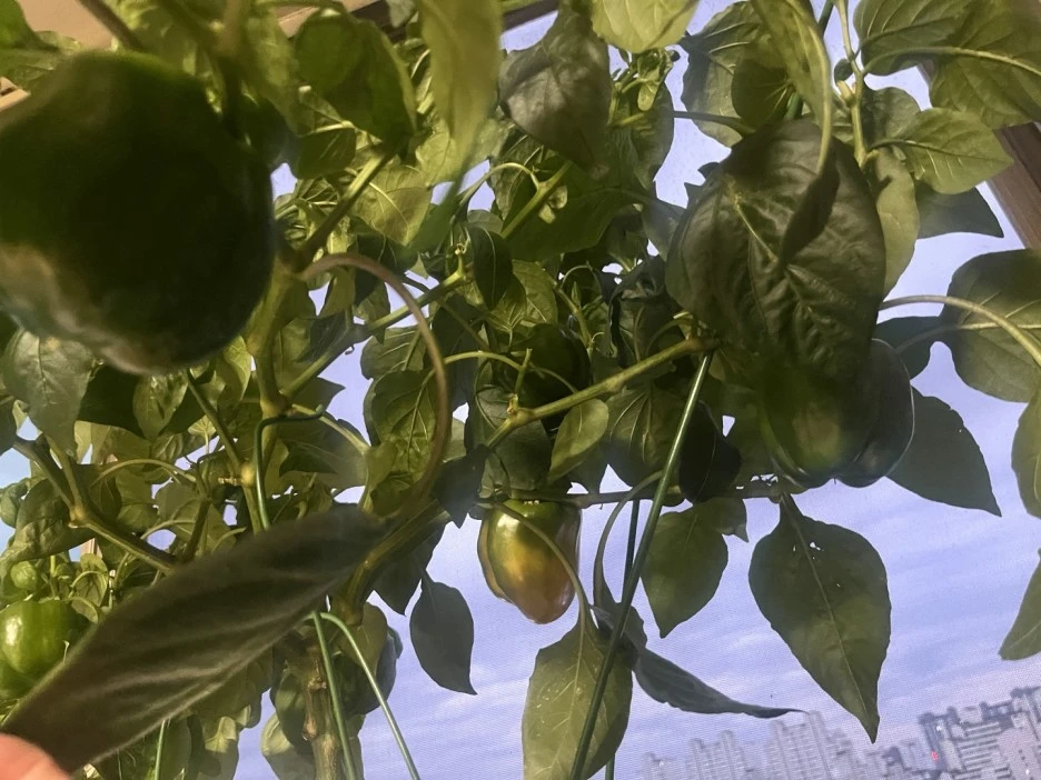 KakaoTalk_20230620_200803208.jpg?type=w1