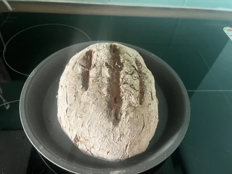 KakaoTalk_20230107_173254342.jpg?type=w1