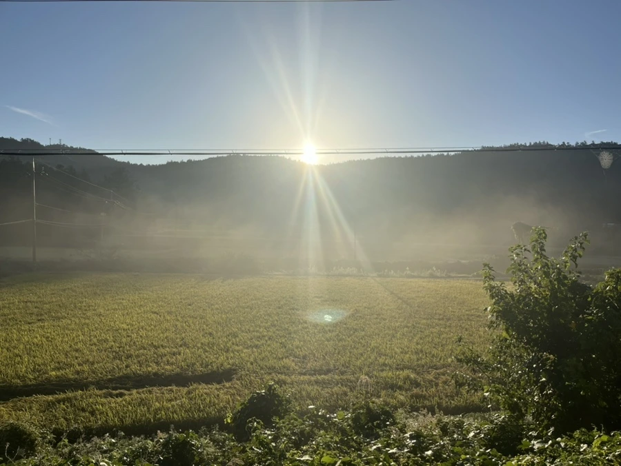 IMG_6637.jpg?type=w1