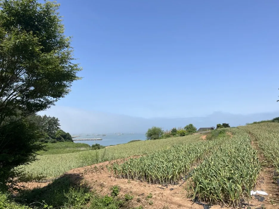 KakaoTalk_20250522_222312085_01.jpg?type=w1