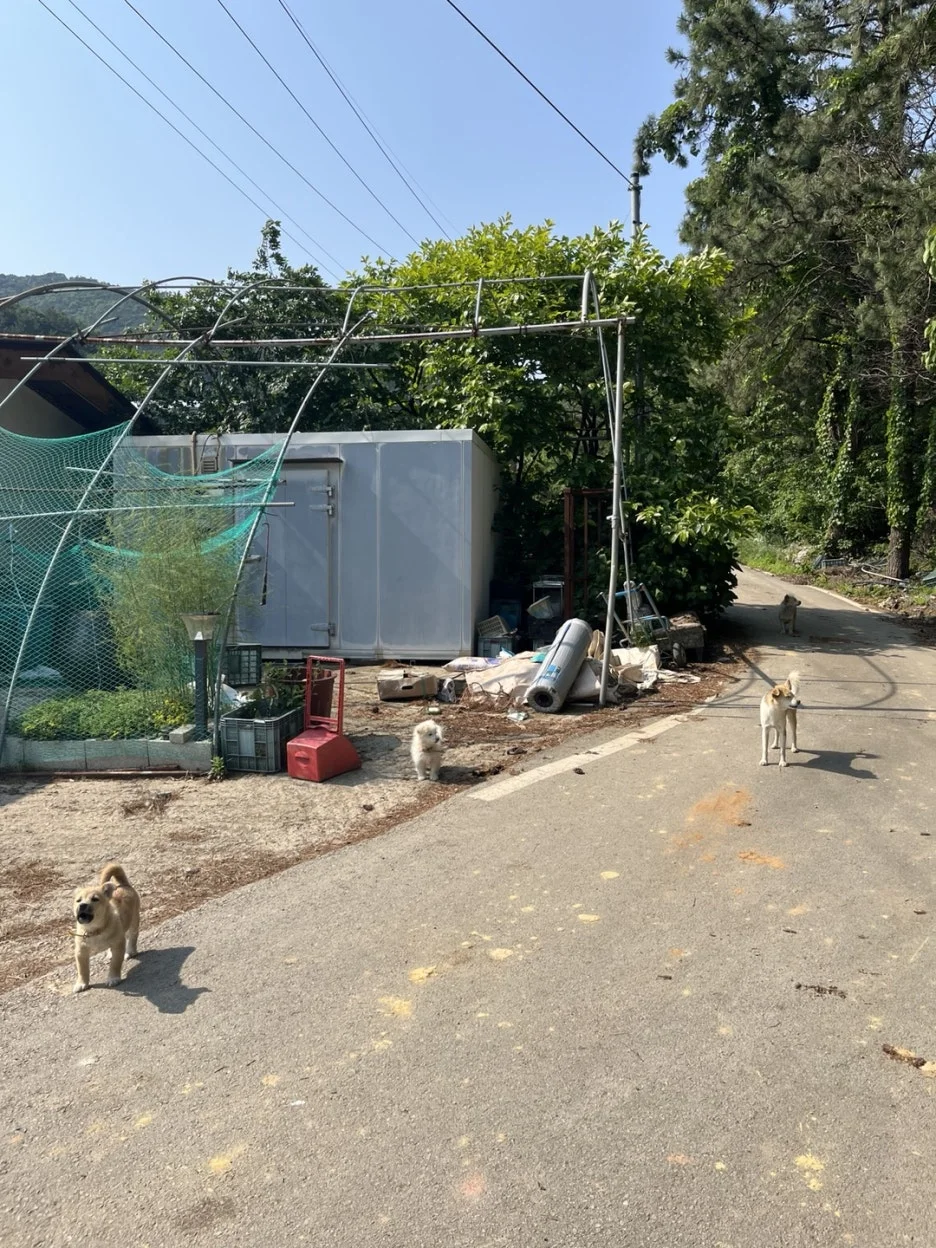 KakaoTalk_20250525_222215968_11.jpg?type=w1