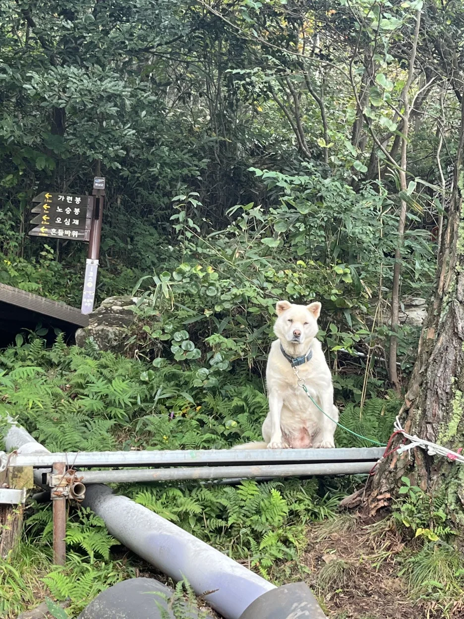 KakaoTalk_20251102_192750619_01.jpg?type=w1