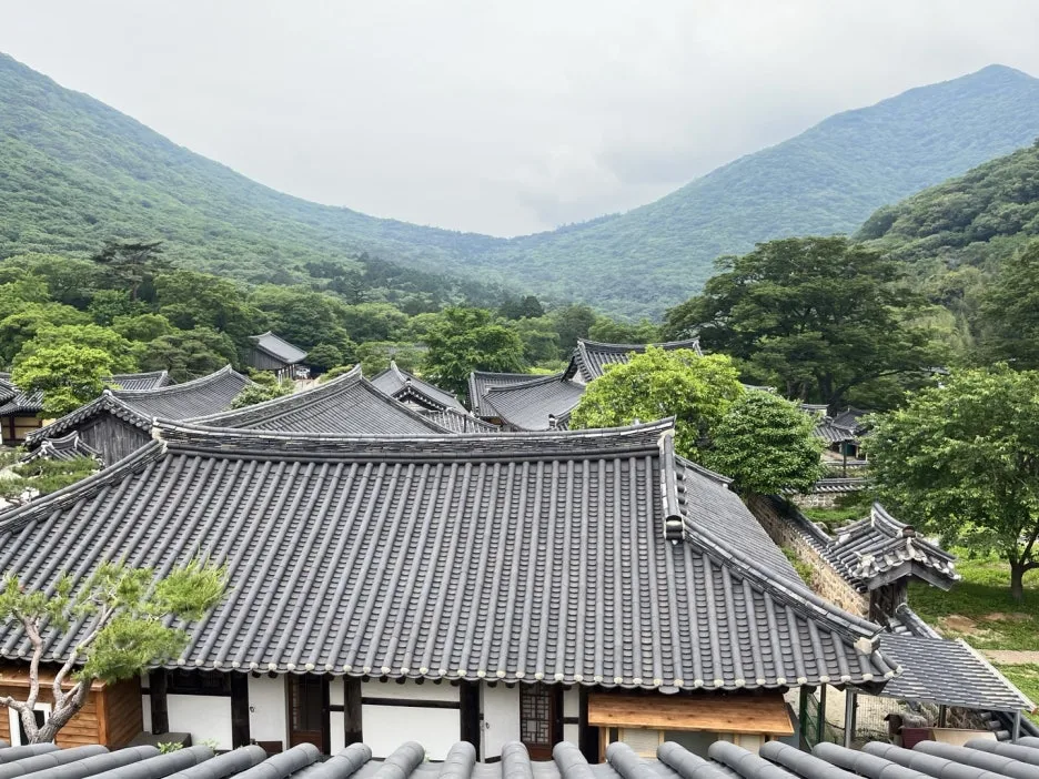 KakaoTalk_20250524_205626134_13.jpg?type=w1