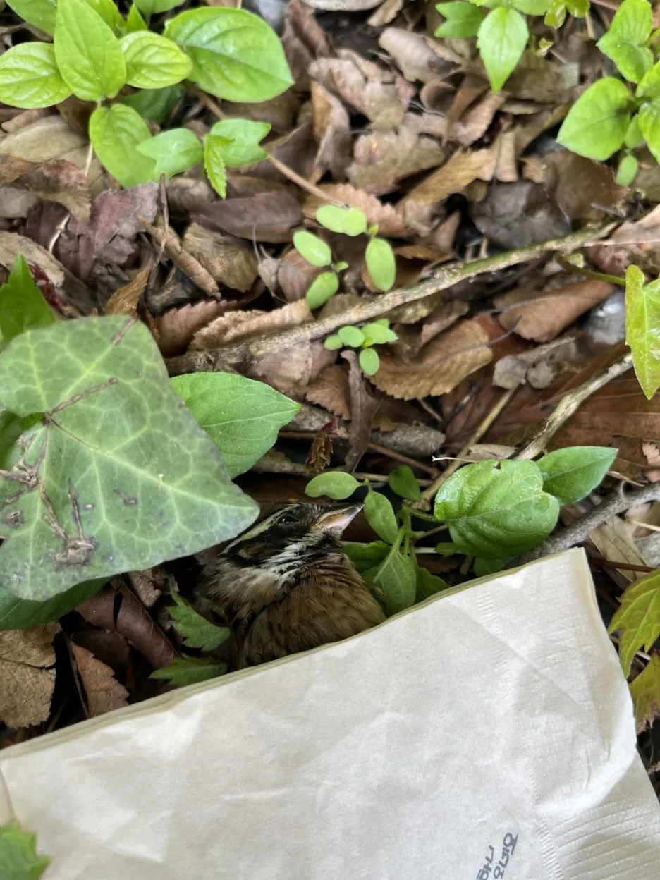 KakaoTalk_20250507_201512867_05.jpg?type=w1