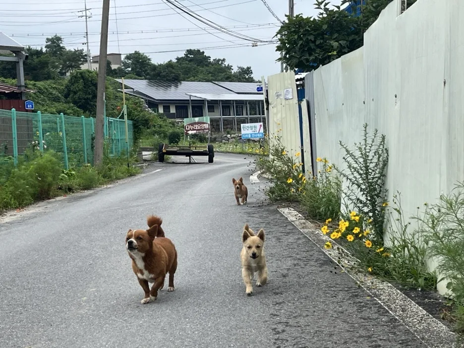 KakaoTalk_20240802_093700547_01.jpg?type=w1