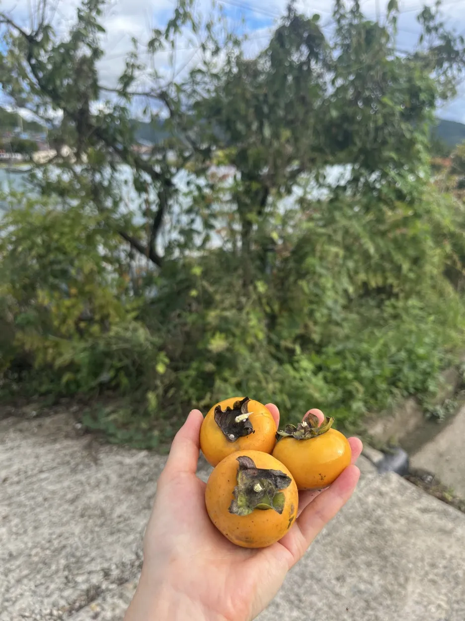 KakaoTalk_20251005_223843431_02.jpg?type=w1