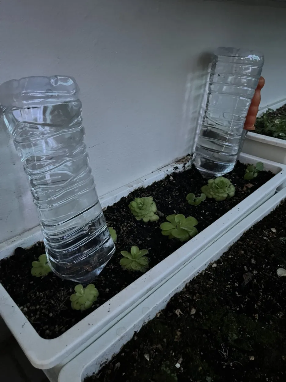 KakaoTalk_20250504_212413671_12.jpg?type=w1