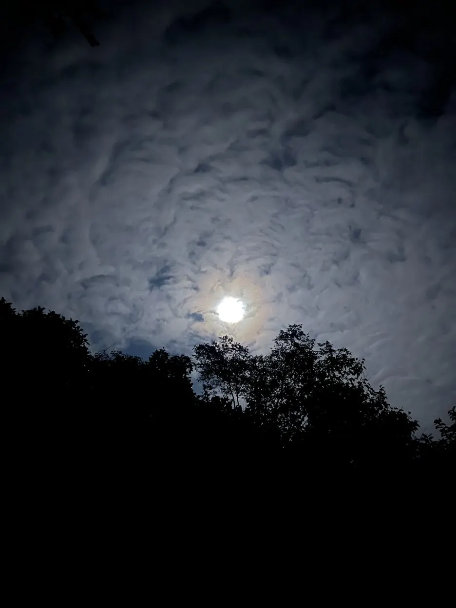 KakaoTalk_20251005_223843431_16.jpg?type=w1