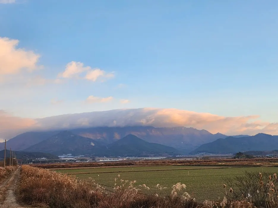 KakaoTalk_20251204_150025223_07_(1).jpg?type=w1