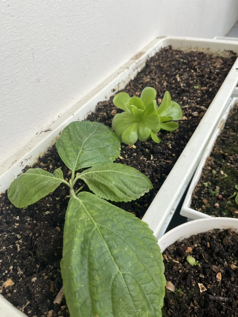 KakaoTalk_20250628_095459608_14.jpg?type=w1