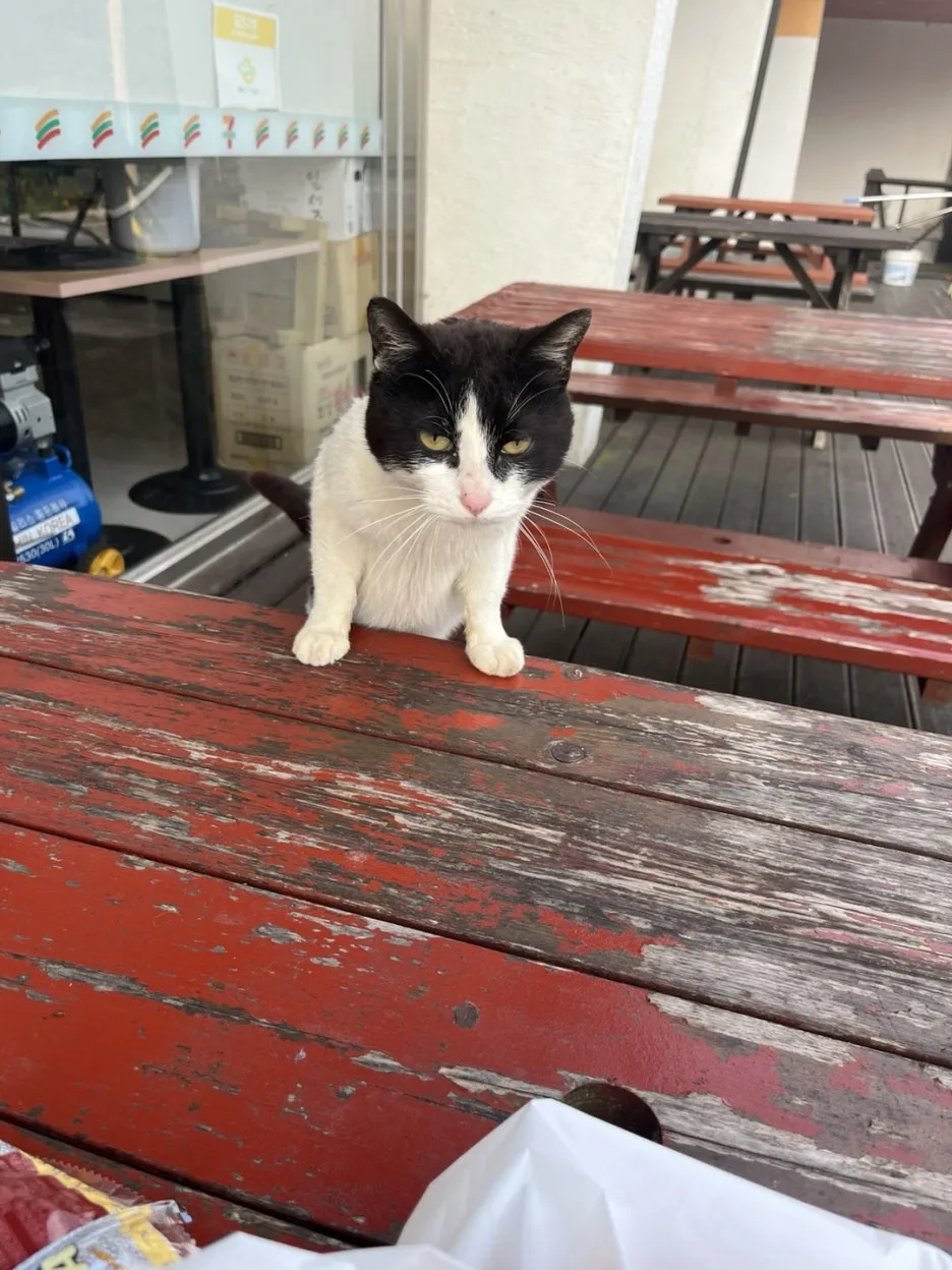 KakaoTalk_20250601_194244145_01.jpg?type=w1