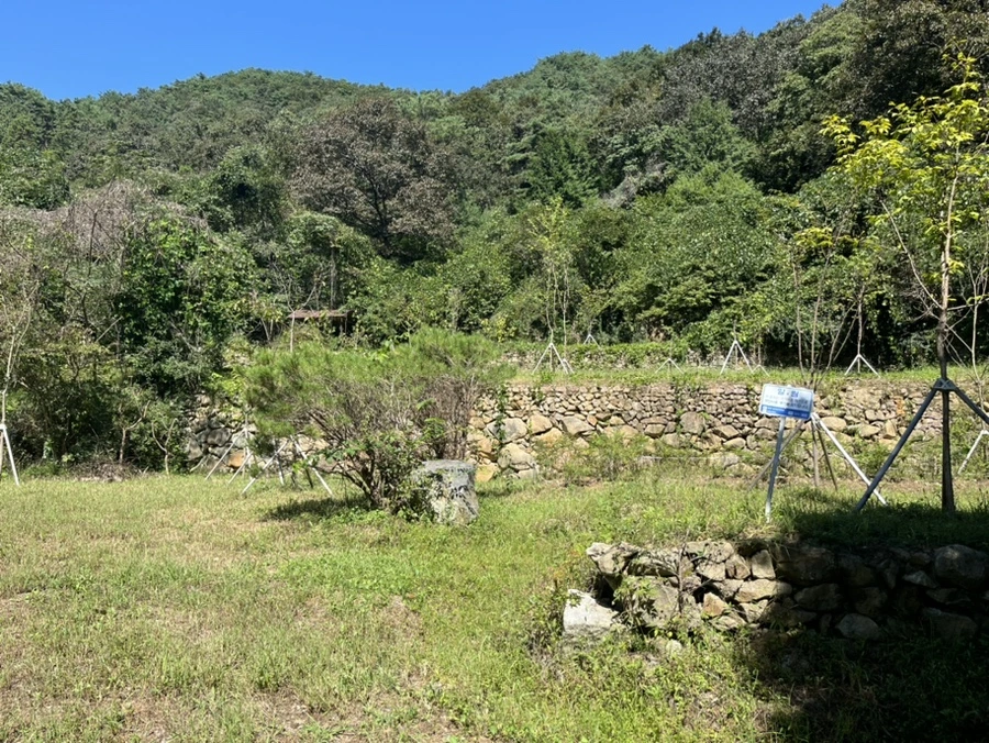 IMG_6741.jpg?type=w1