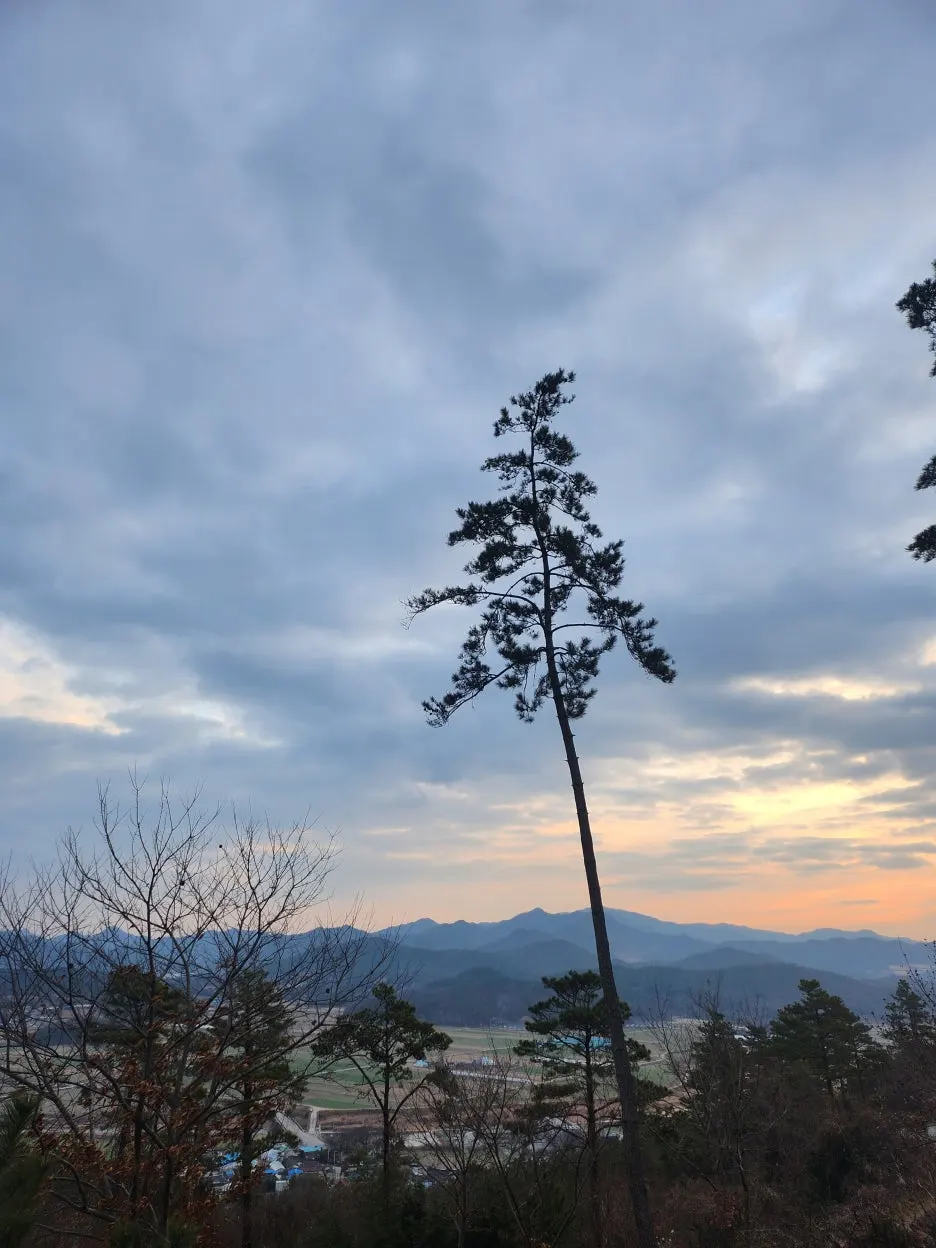 KakaoTalk_20251231_085442462_01.jpg?type=w1