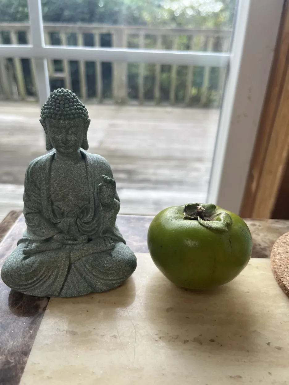 KakaoTalk_20250918_050248673_10.jpg?type=w1