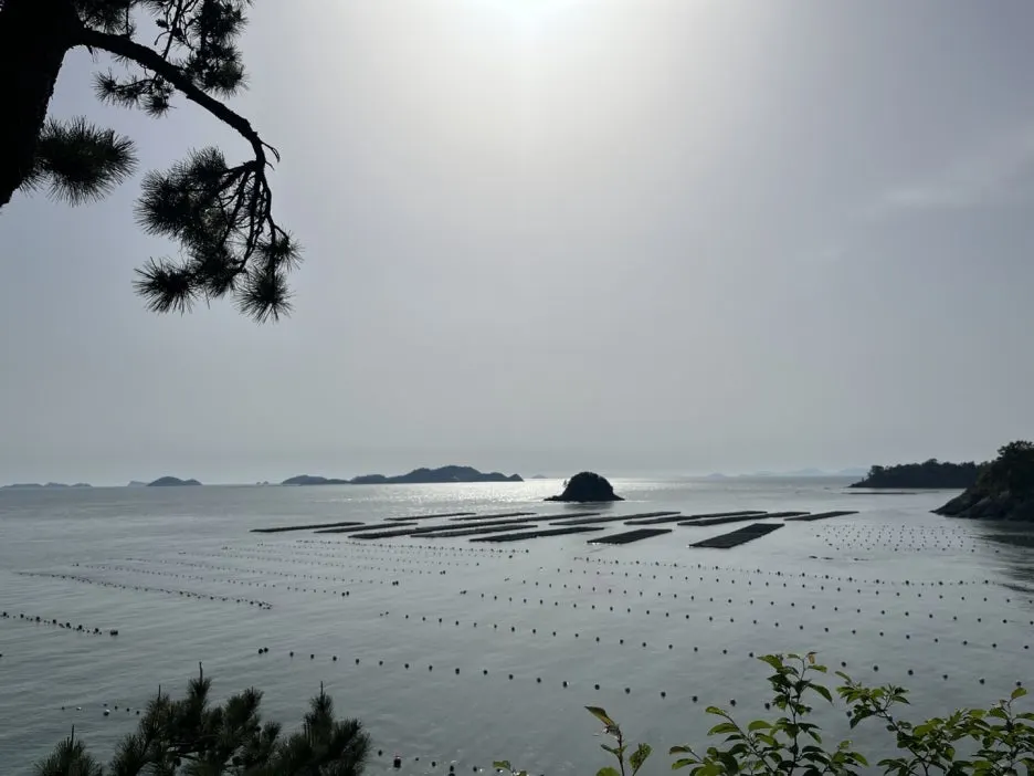 KakaoTalk_20250507_201512867_20.jpg?type=w1