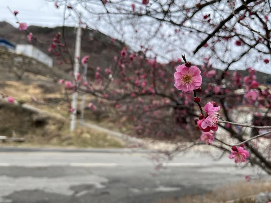 KakaoTalk_20250309_102613643_03.jpg?type=w1