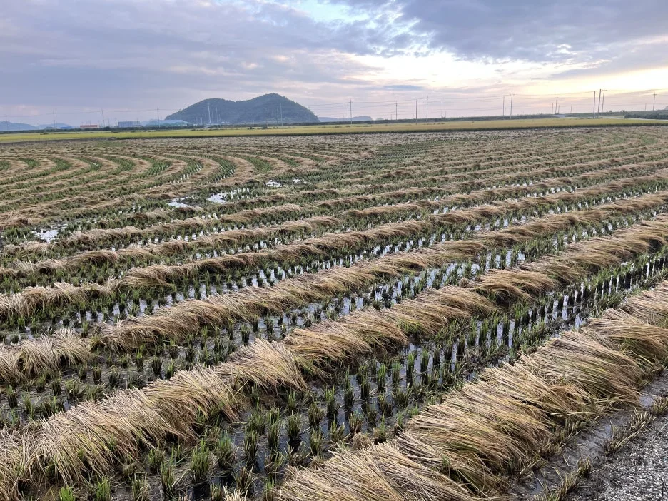 KakaoTalk_20250930_135346076.jpg?type=w1