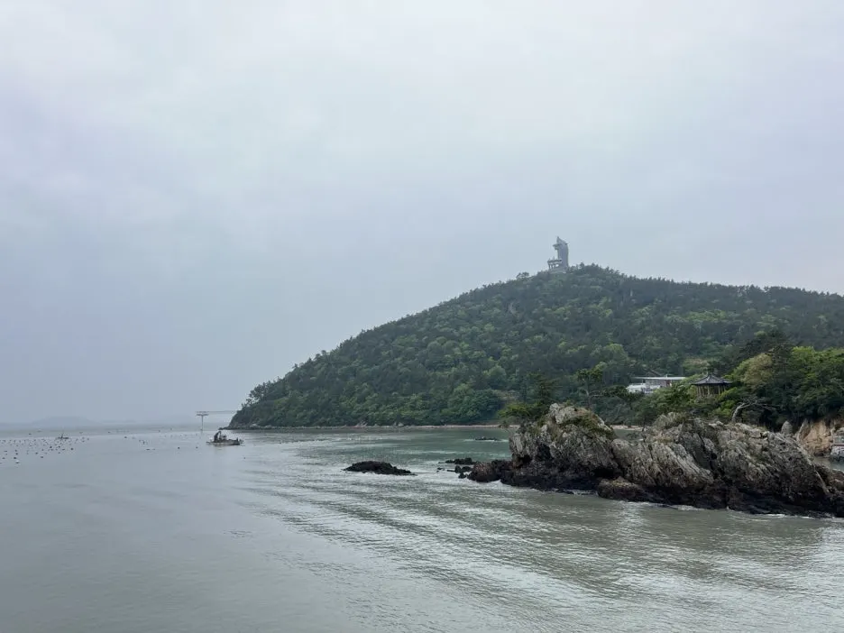 KakaoTalk_20250511_200026341.jpg?type=w1