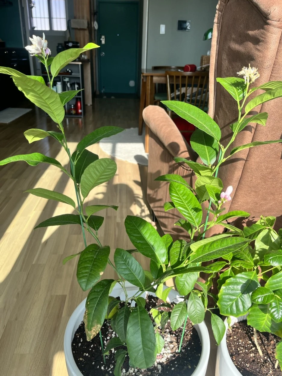 KakaoTalk_20221225_132443466.jpg?type=w1