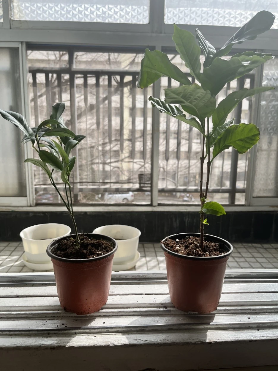 IMG_0141.JPG?type=w1